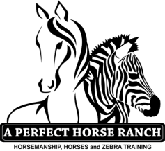 A Perfect Horse Ranch Logo